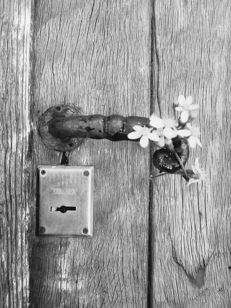 Flowers Blanco y Negro