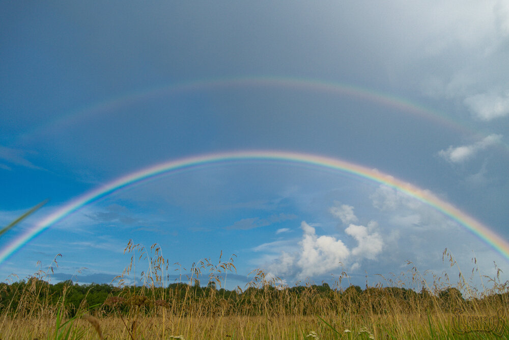 Photograph by Vitaly Zubkov