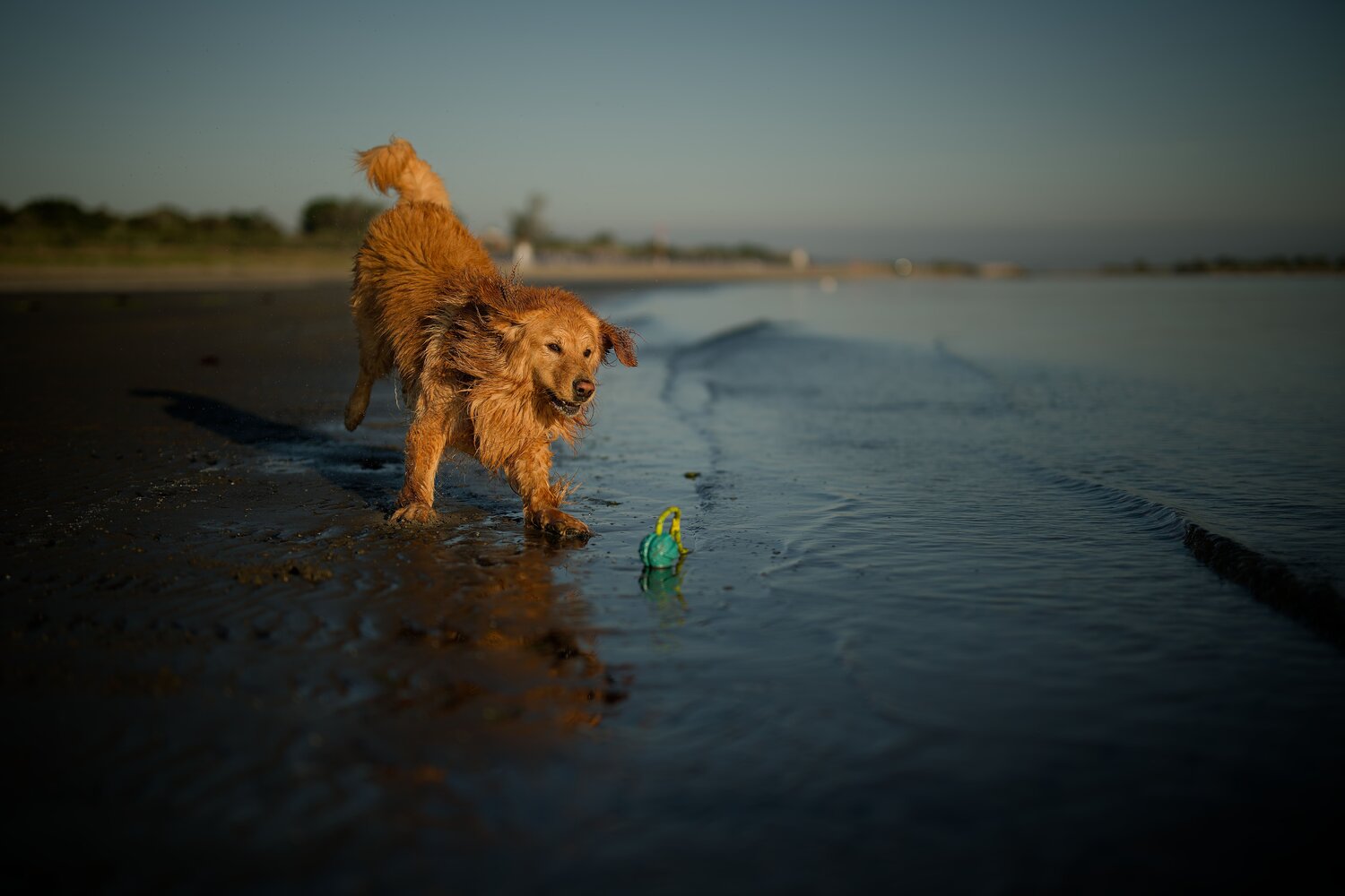 Photo #13959408