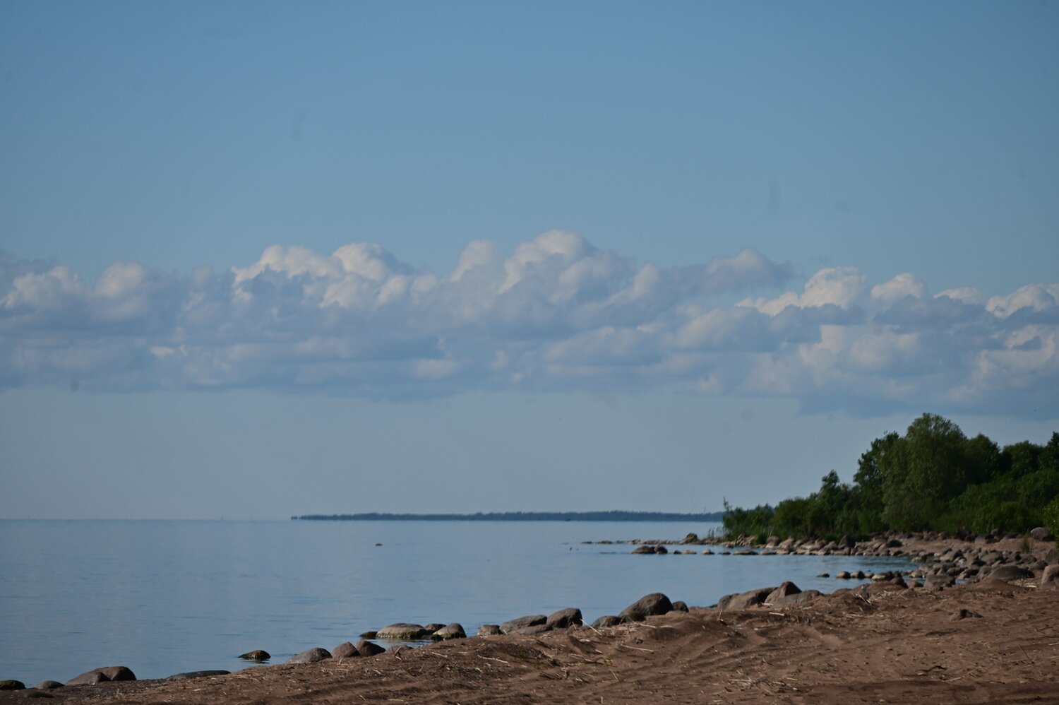 Photo #13959409