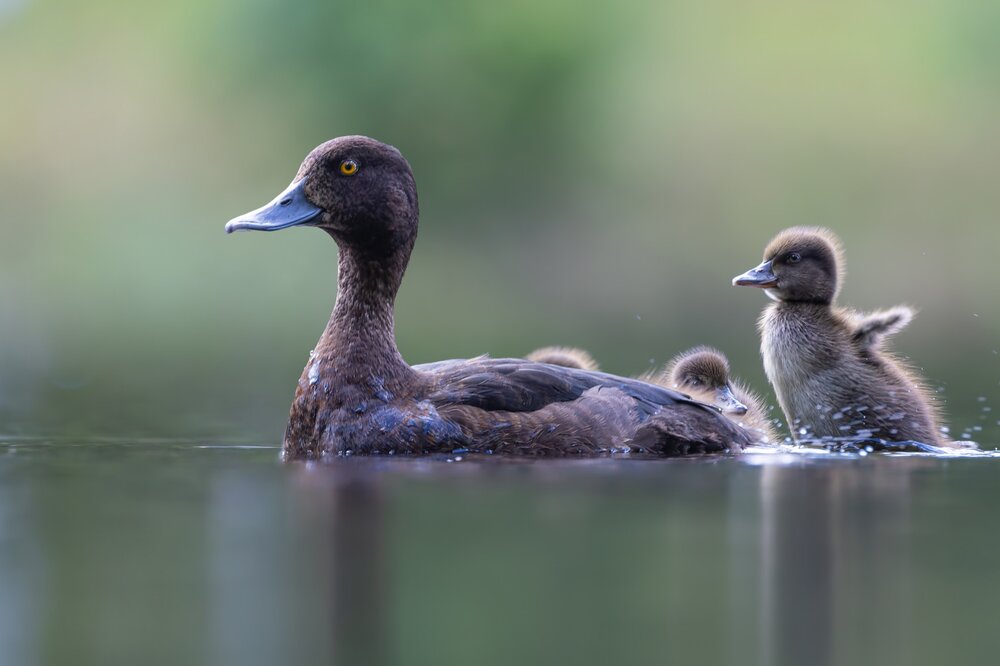 Photograph by Pl Ruslan