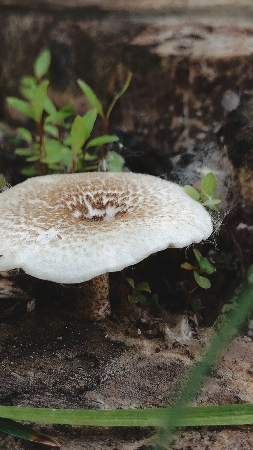 Photo #13959502