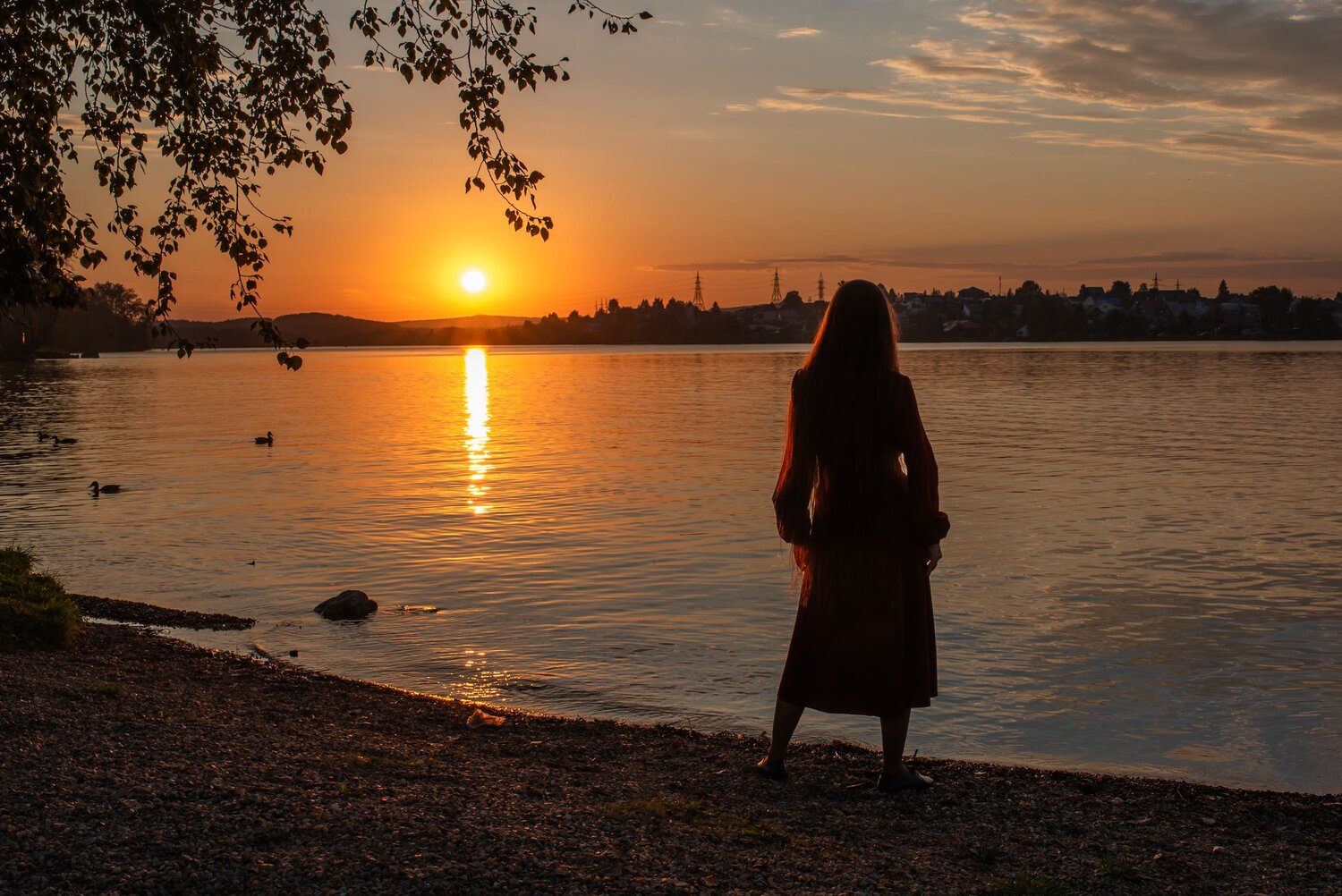 Photo #13959742