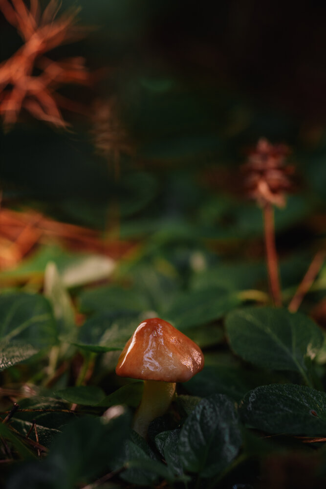 Photograph by Анна Рыжкова