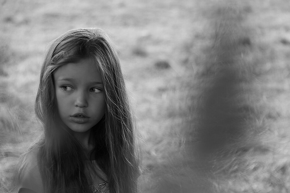 Photo #13959967
