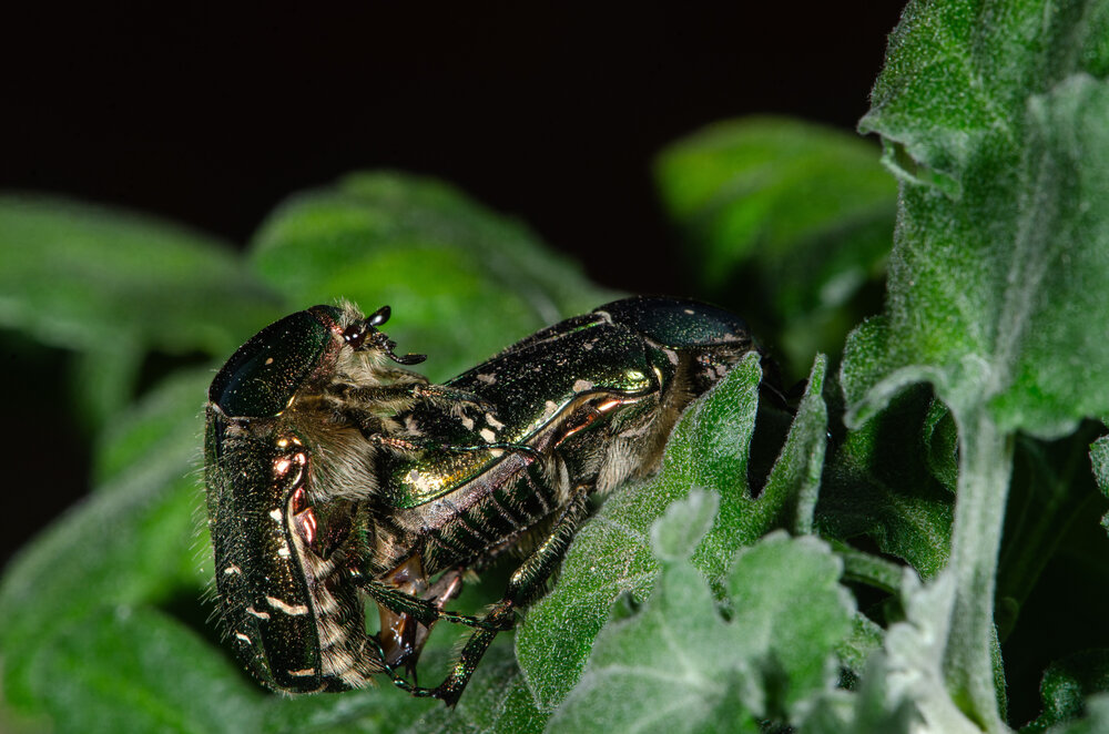 Photograph by Римма Волченко
