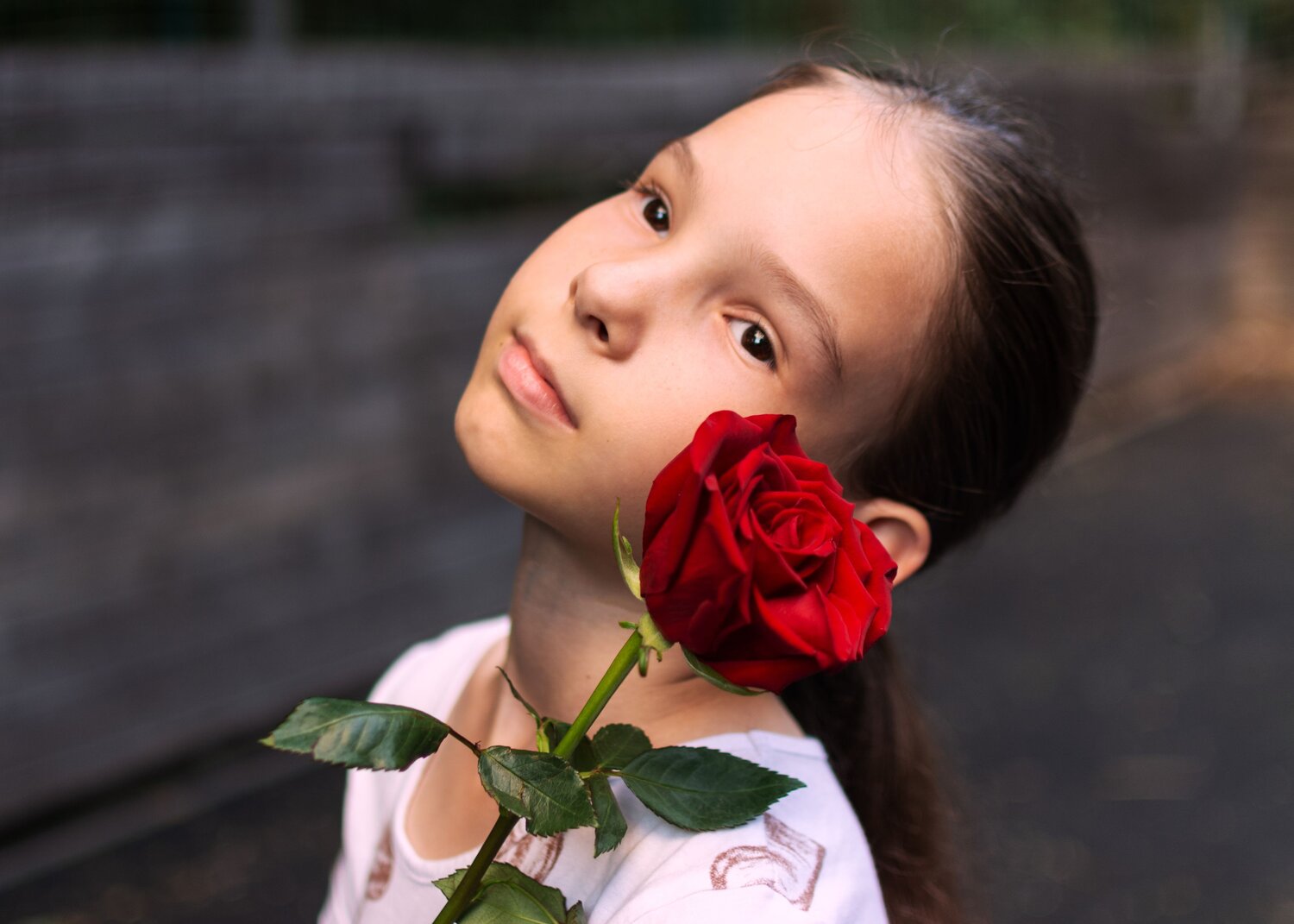 Фотография #13960034