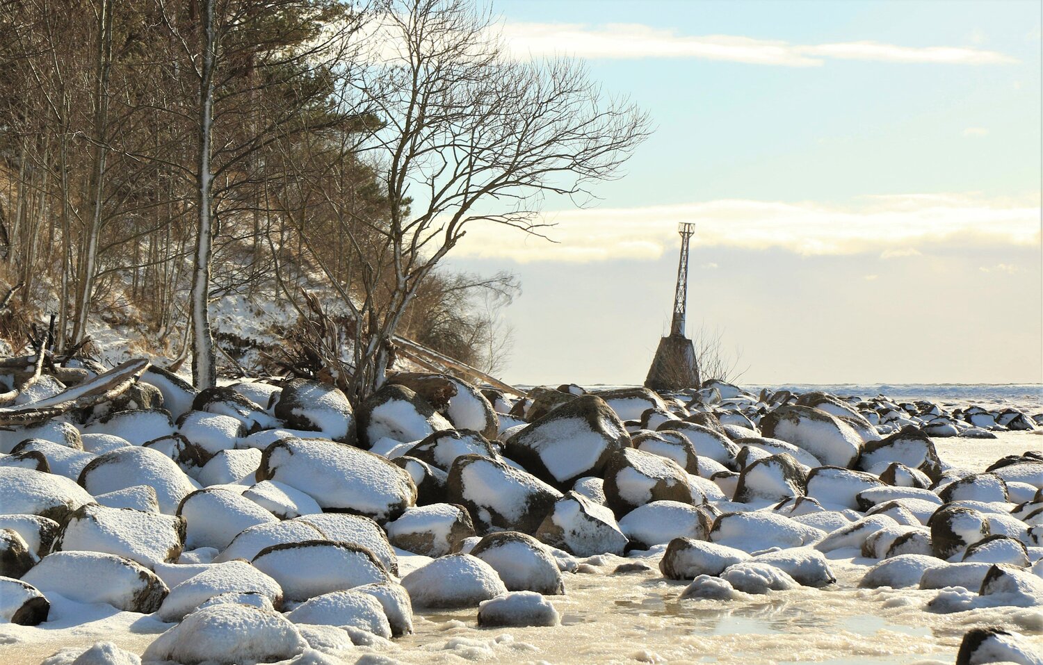 Photo #13960093