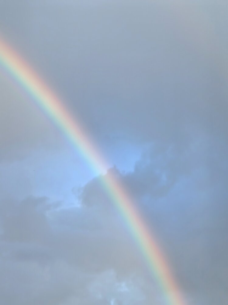 Photograph by Ярославна