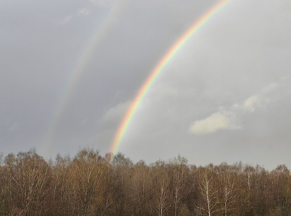 Photograph by Ярославна