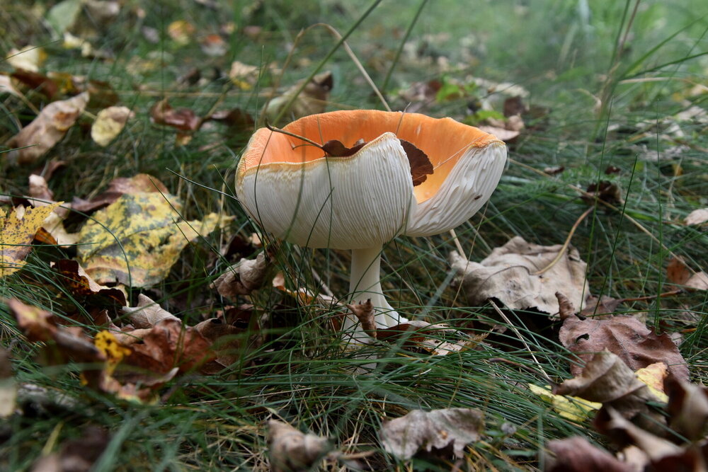 Photograph by Dimon Grinih