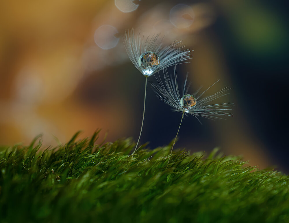 Photograph by Марина Брыдня