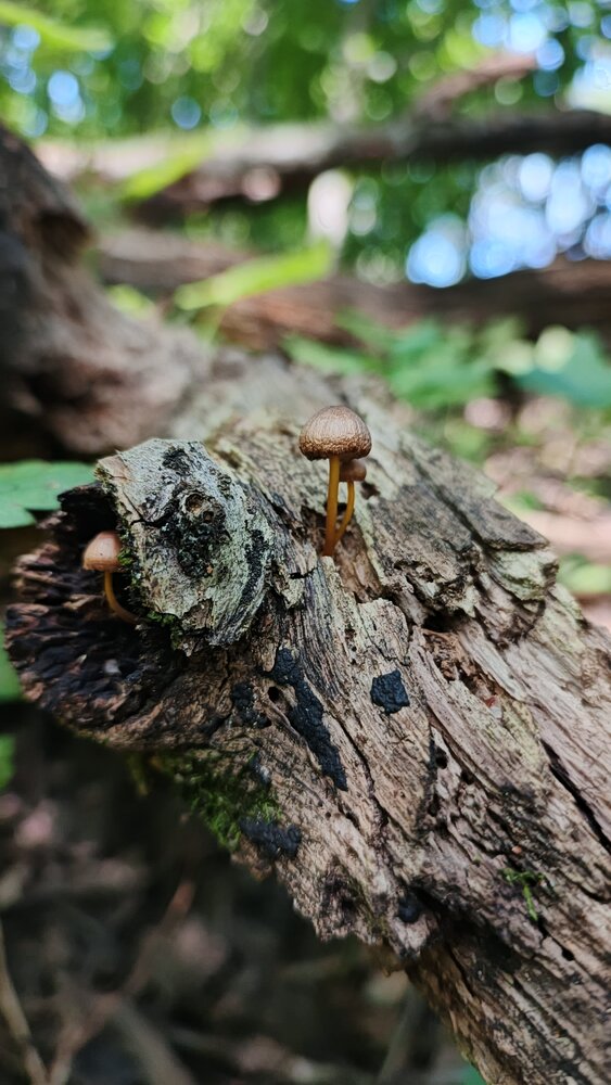 Photograph by Марьяна Павленко
