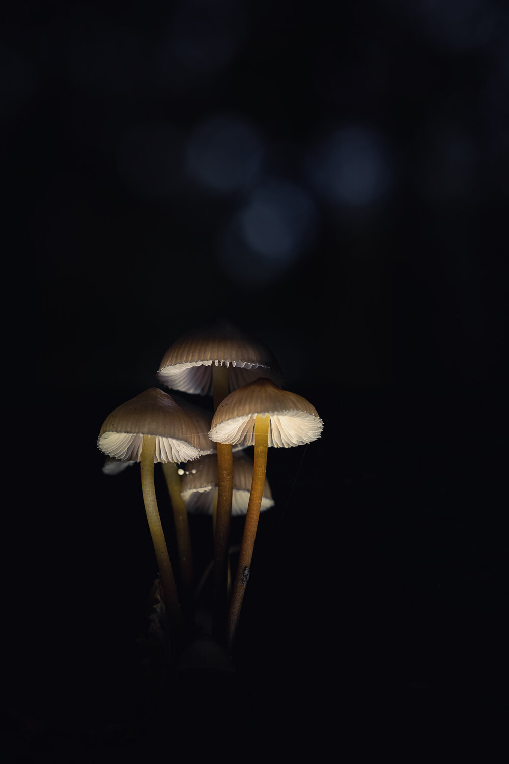 Photo #13960367