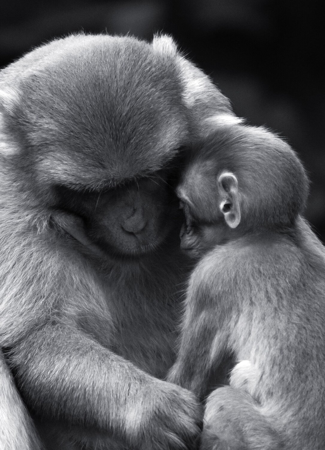 Photo #13960382