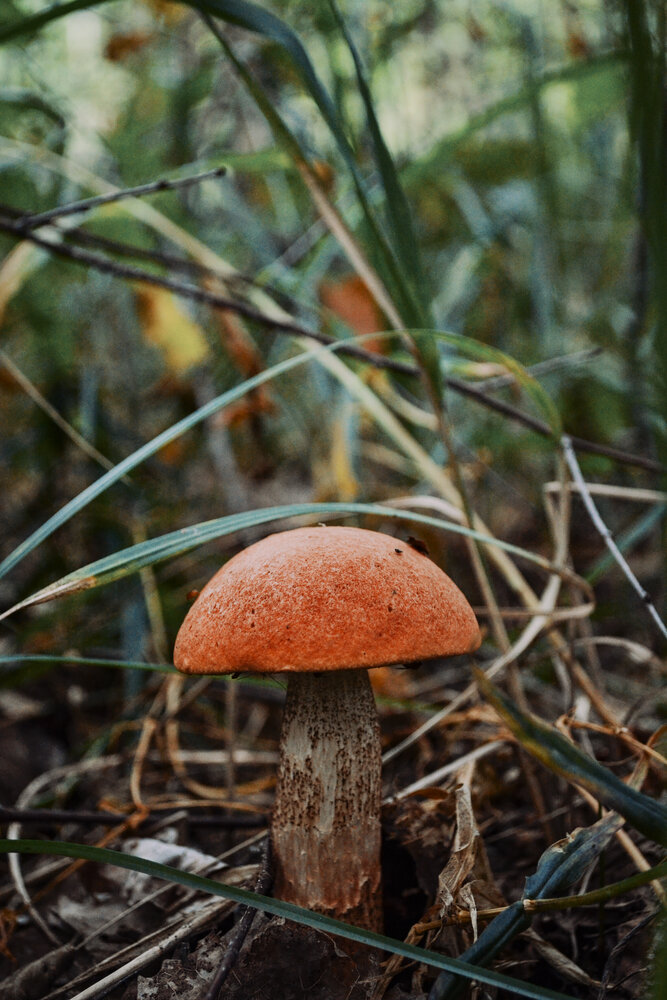 Photograph by Анастасия Соколовская