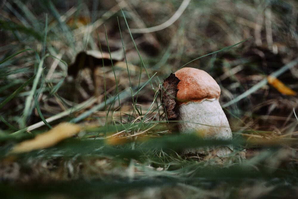 Photograph by Анастасия Соколовская
