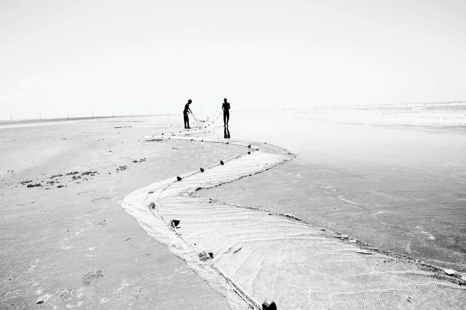 Photo #13960546