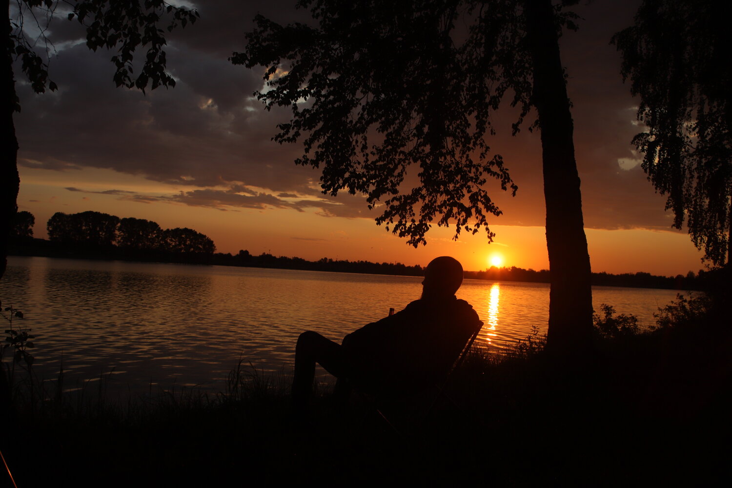 Photo #13960586