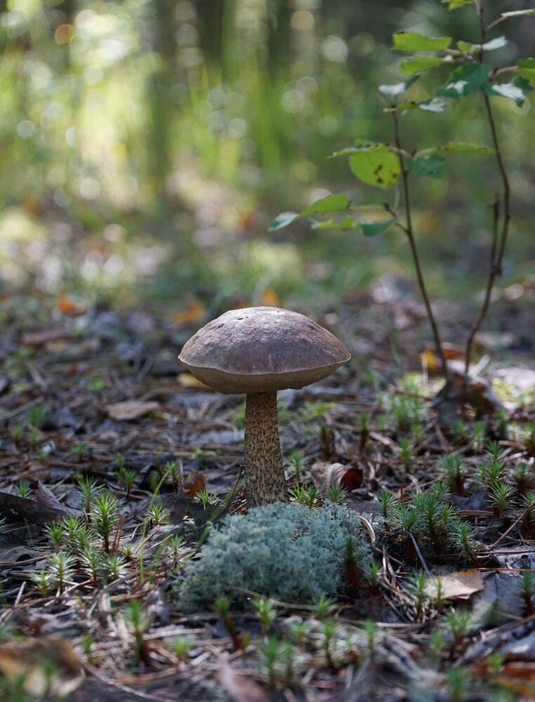 Photograph by Анастасия
