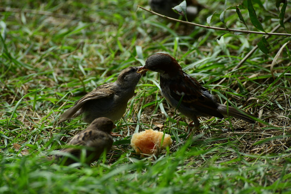 Photograph by Алексей Volg