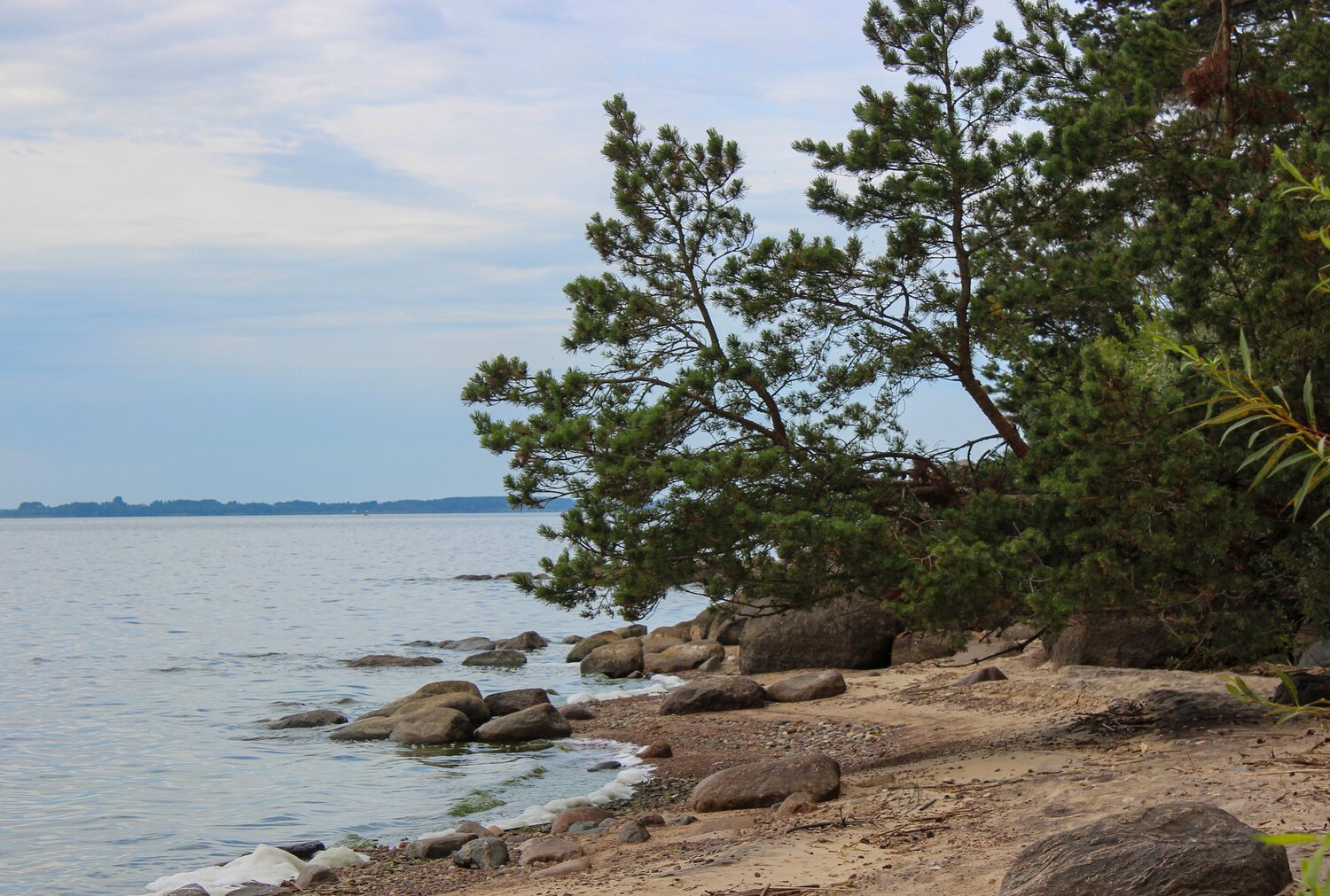Photo #13960657
