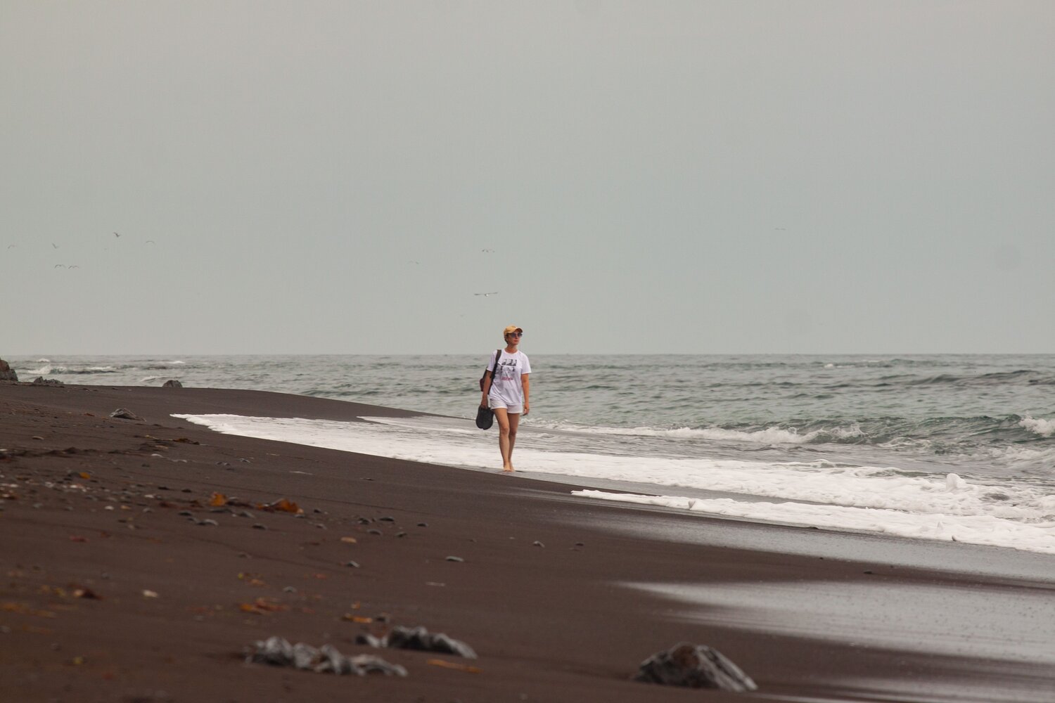 Photo #13960659