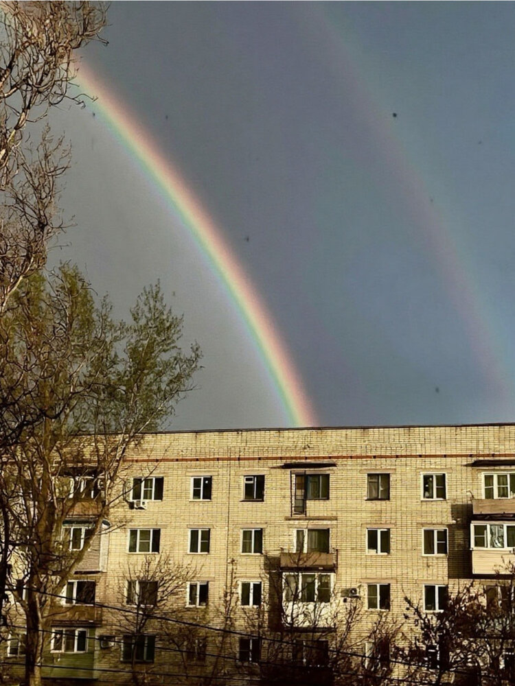Фотография автора Елизавета Кривова