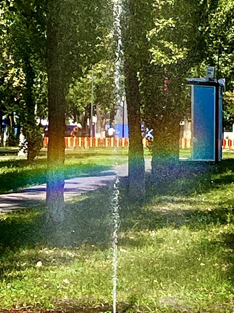 Фотография автора Елизавета Кривова