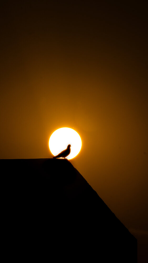 Photograph by Hassam uddin