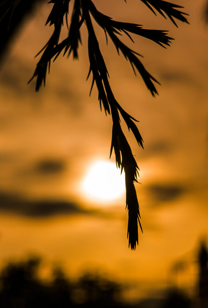 Photograph by Hassam uddin