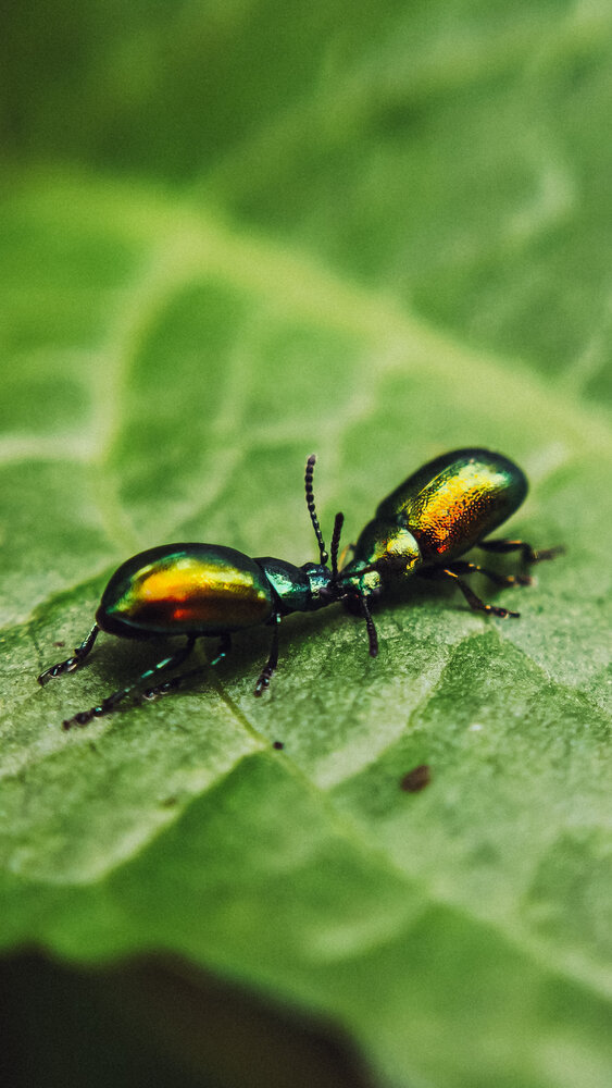 Photograph by Eugenia Blinova