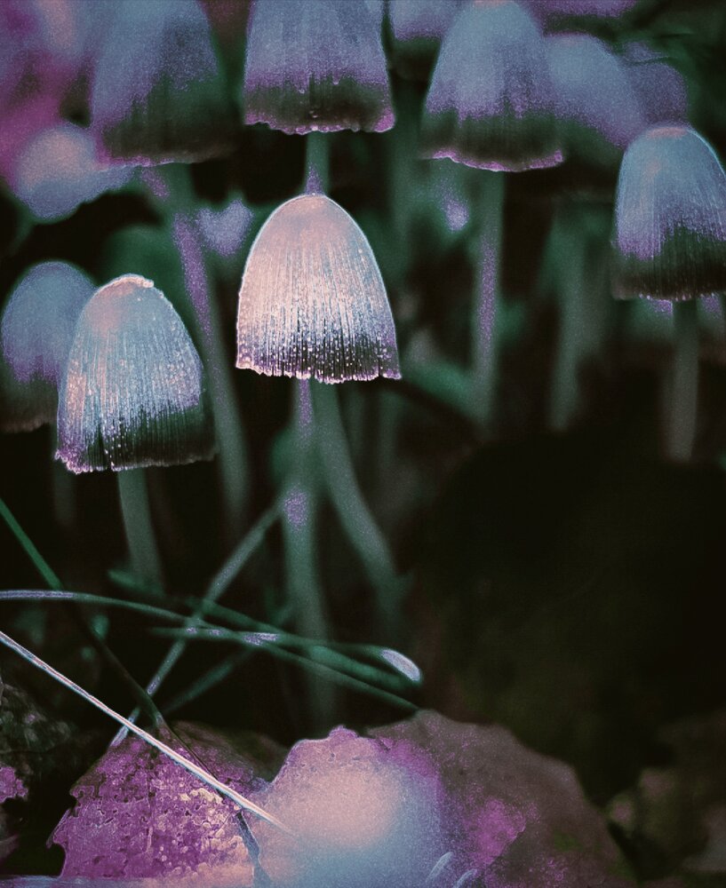 Photograph by Tanya Yerko