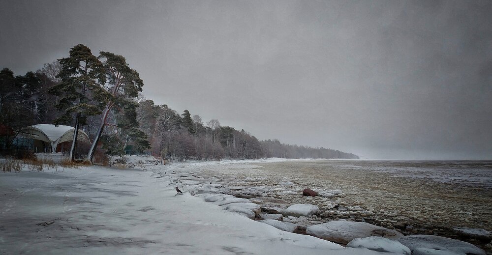 Photograph by Aleksandr Frost