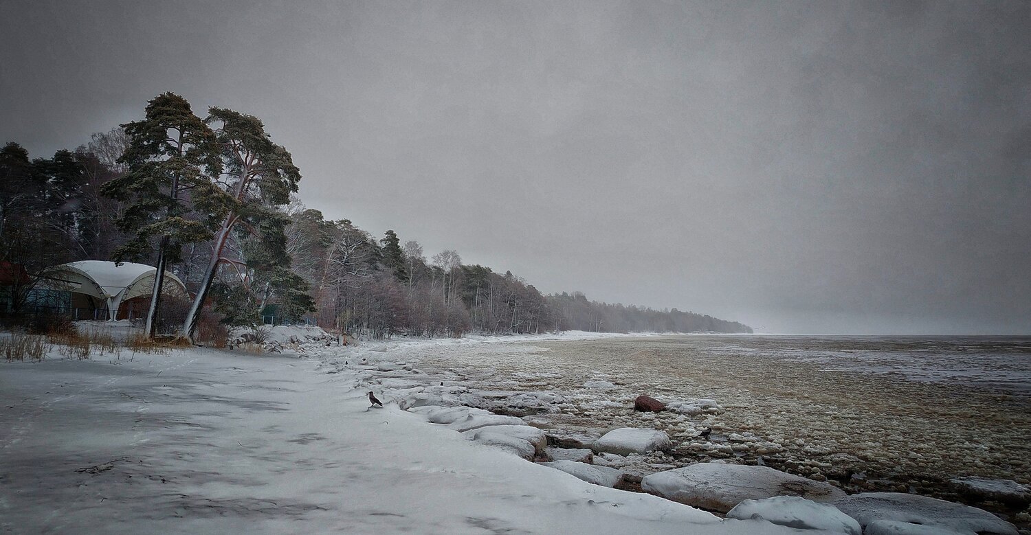 Photo #13961026