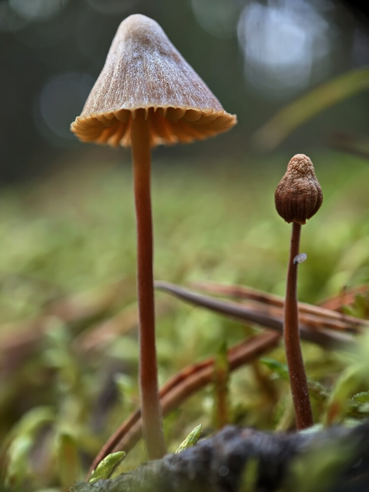 Photograph by Дмитрий Кузнецов