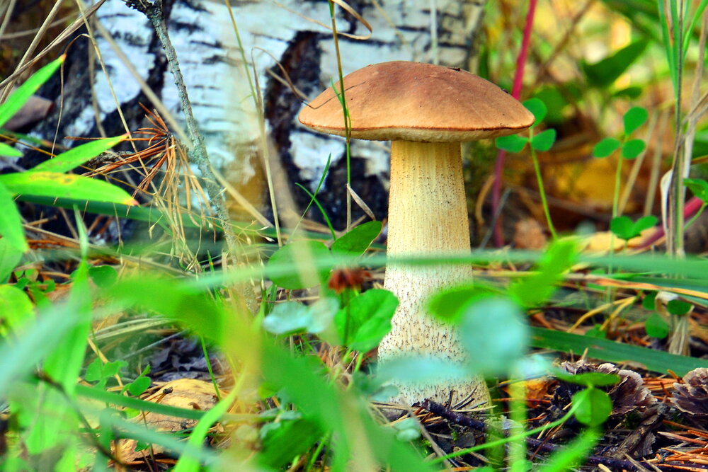 Photograph by Дмитрий Волков