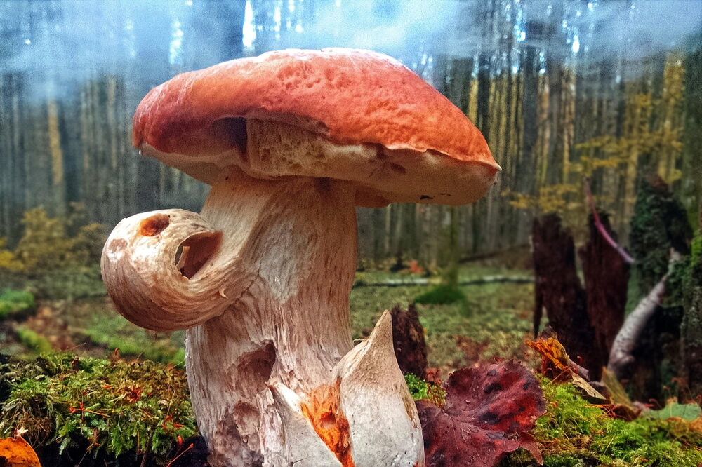 Photograph by Дмитрий Волков