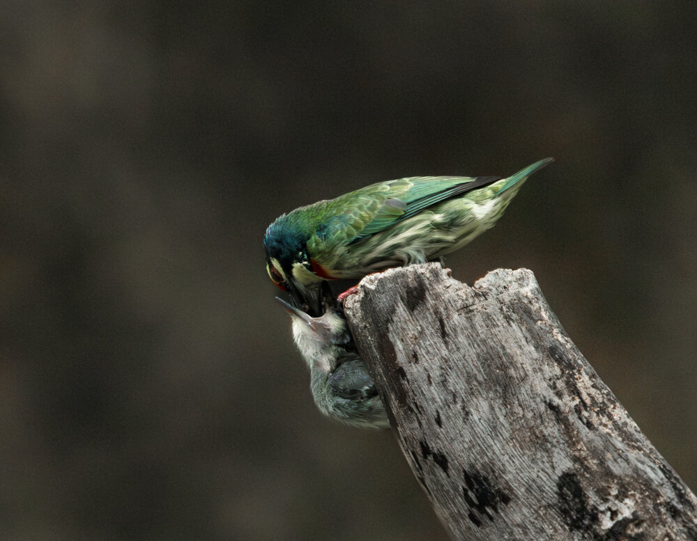 Photograph by Lê Huy Anh