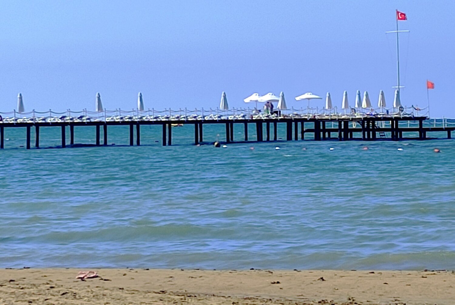 Photo #13961465