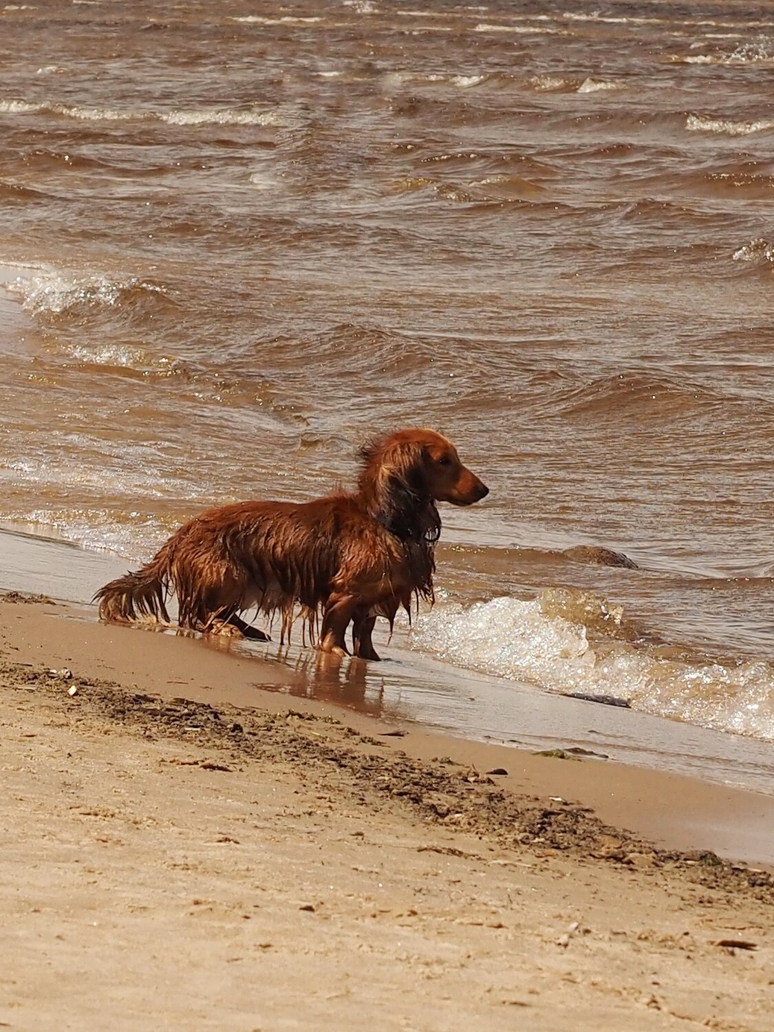 Photo #13961555