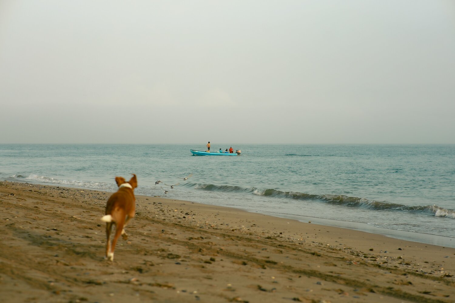 Photo #13961566