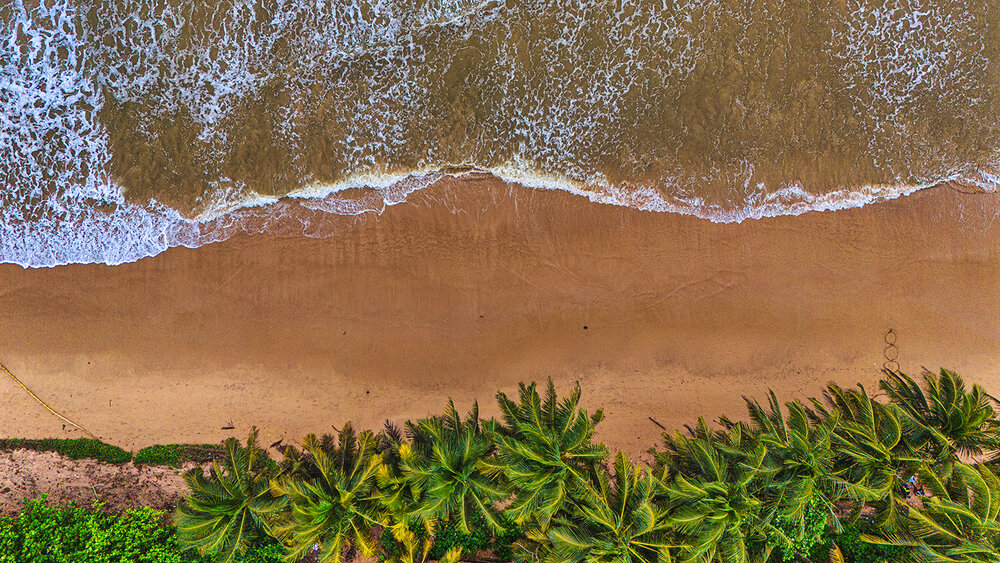Golden beach