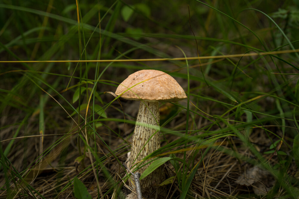 Photograph by Денис Базаров