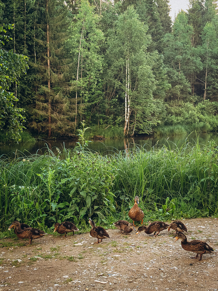 Photograph by Марина Харитонова