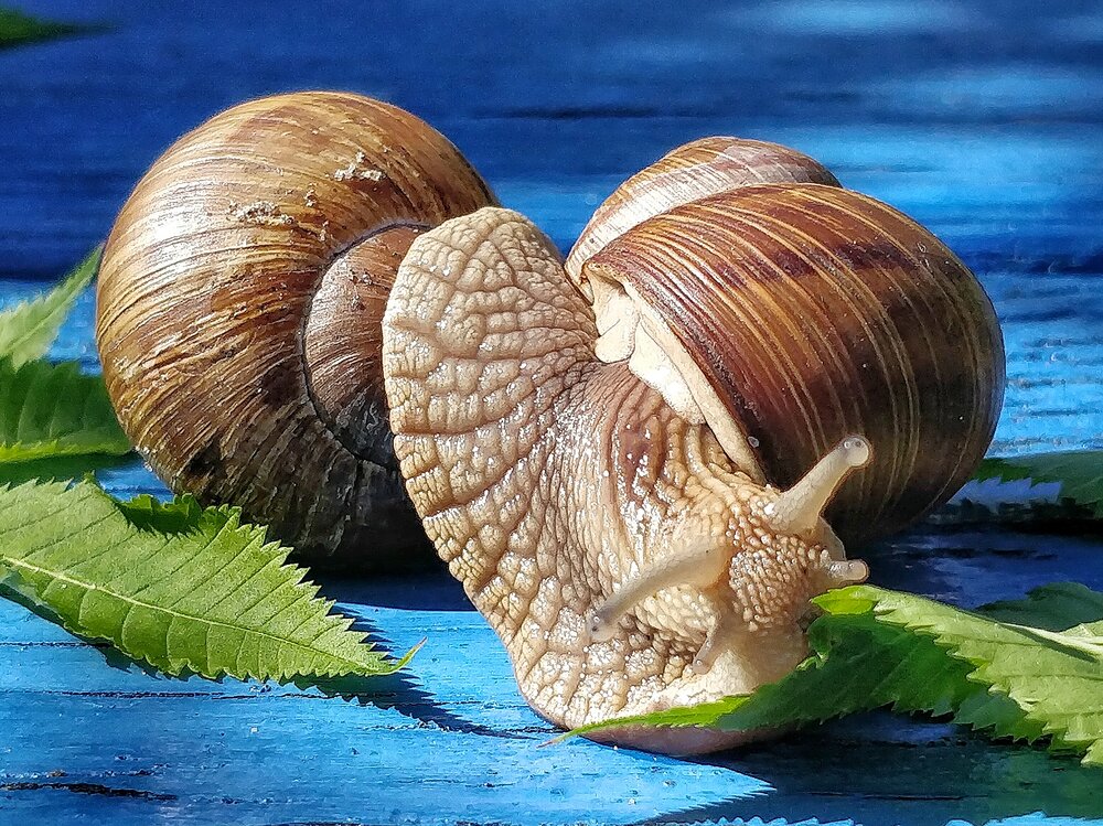 Photograph by Светлана Васильева