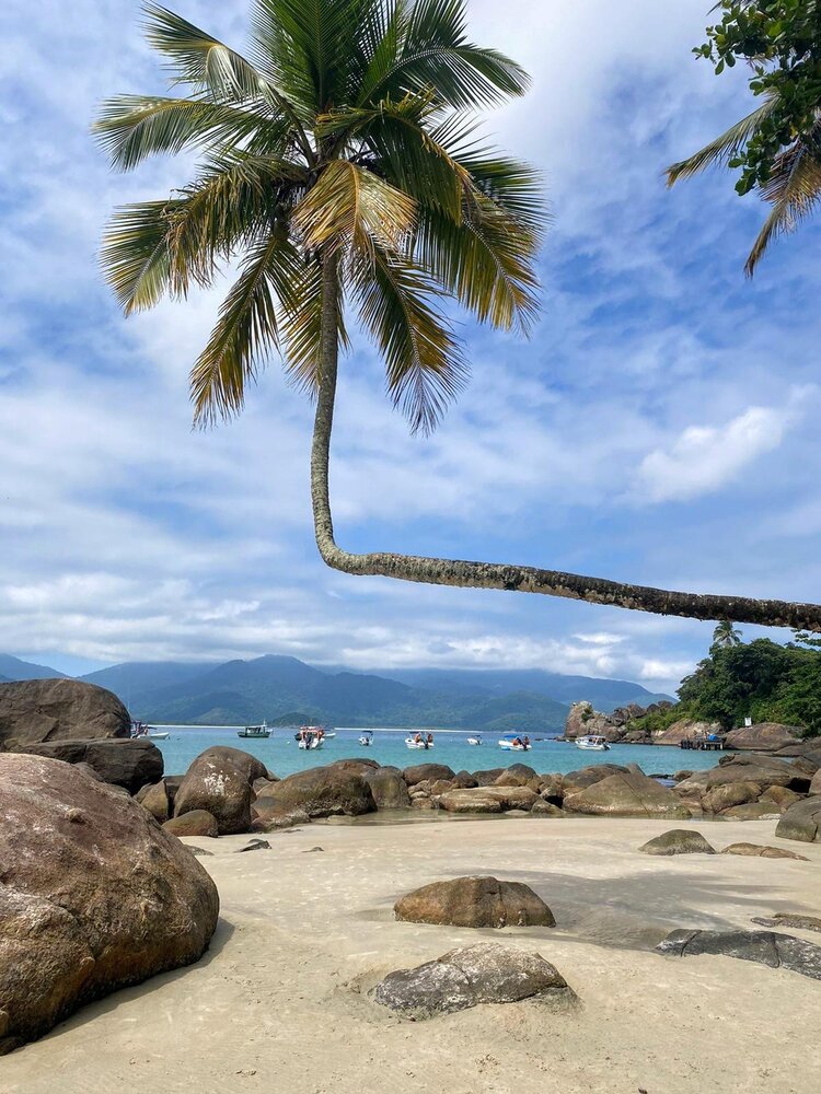 Photograph by Rosane Cortez