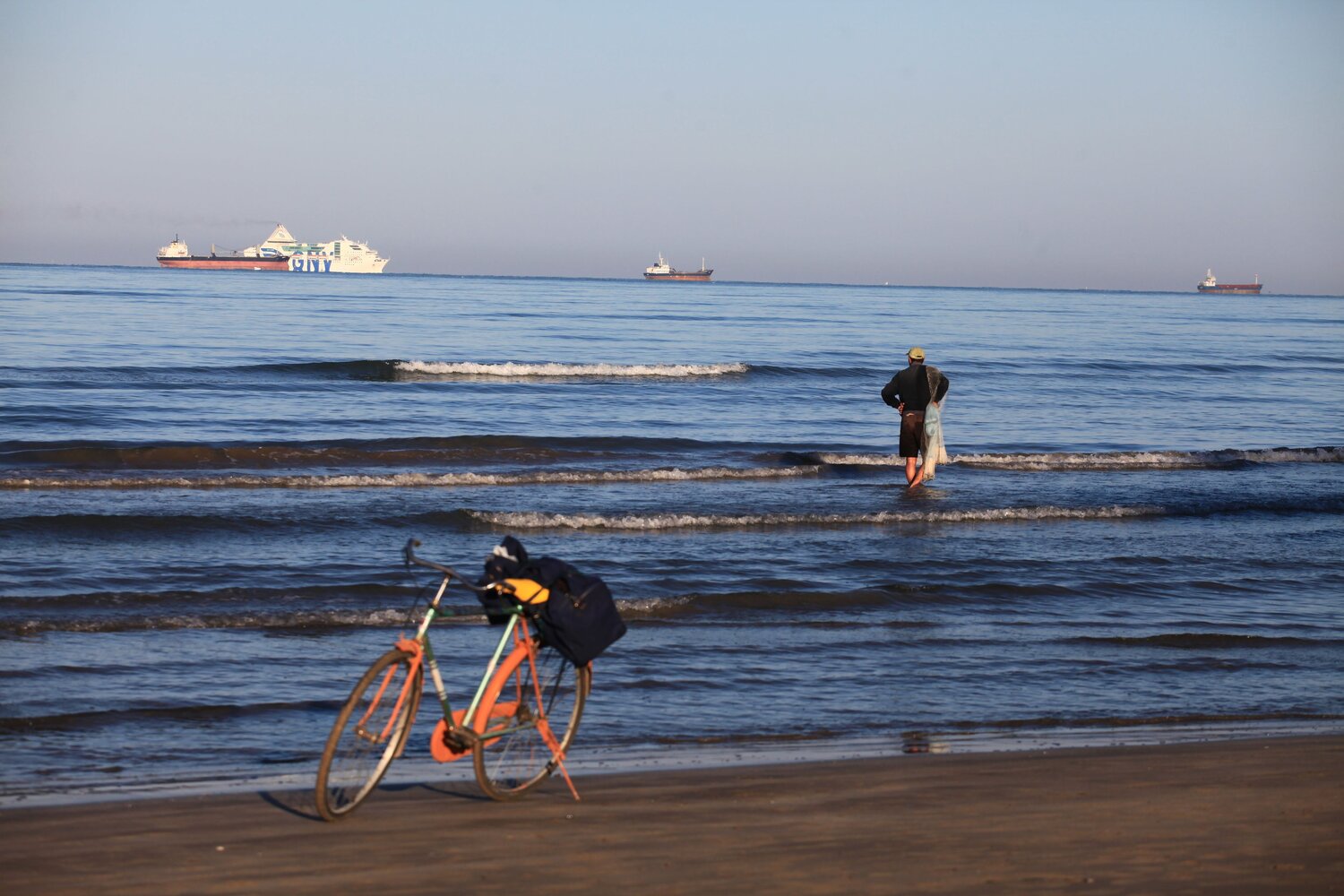 Photo #13962023