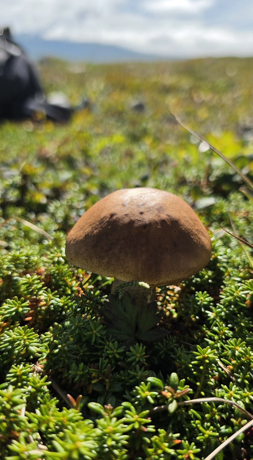 Photo #13962048