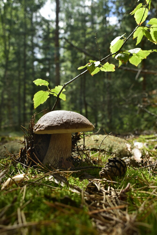 Photograph by Мария Селиванова